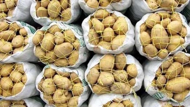 ادامه واردات سیب زمینی تا اردیبهشت ماه