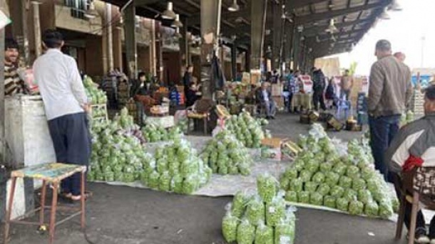 نوبرانه ها از راه رسیدند