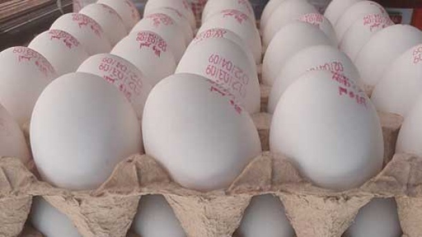 کاهش بی سابقه قیمت تخم مرغ در بازار