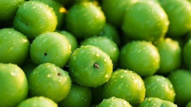 ورود گوجه سبز به بازار با قیمتهای نجومی