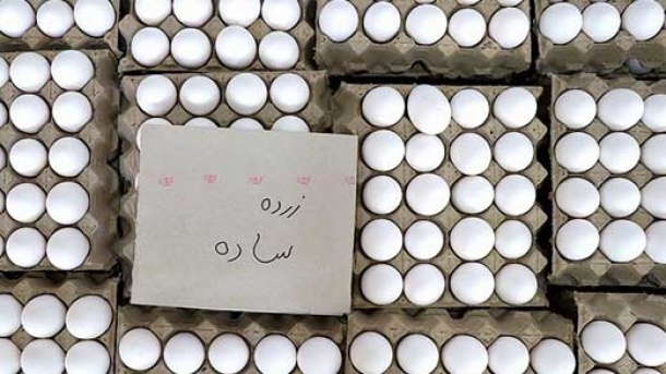 کاهش شدید قیمت تخم مرغ در بازار