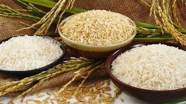 روزانه ۸تن برنج دورریز میشود !