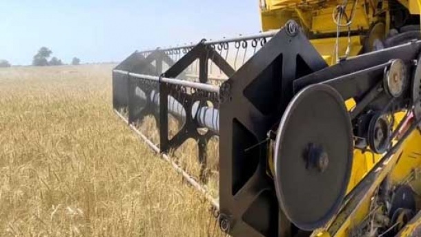 درخواست کشاورزان برای افزایش قیمت خرید گندم