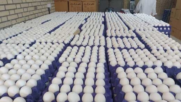 قیمت تخممرغ در بازار