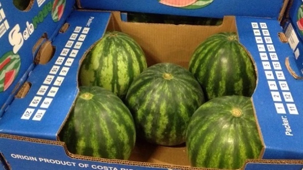 ویدئوی جنجالی هندوانه صادراتی + واکنش سازمان استاندارد