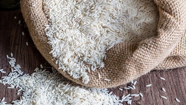 قیمت جدید برنج ایرانی در بازار 1404/02/22