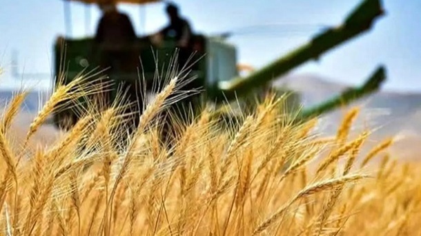 قیمت خرید تضمینی گندم اعلام شد