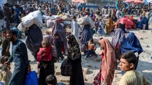 فاز دوم اخراج فوری افغانستانی‌ها آغاز شد