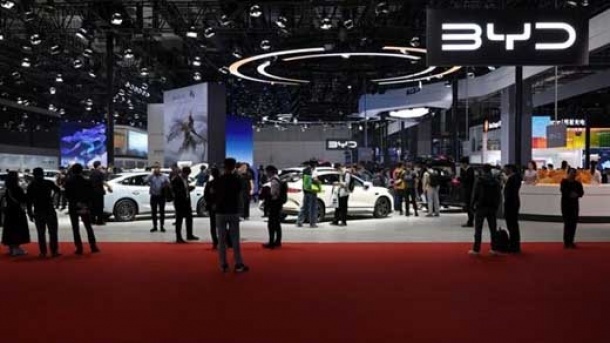 بی وایدی ورشکست شد