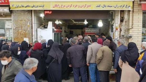 چرا گوشت کم و گران شد؟