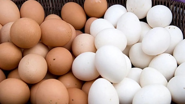 قیمت تخم مرغ در بازار افزایش یافت
