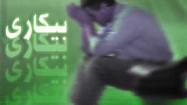 شغل برای چند درصد از فارغ التحصیلان فراهم است؟