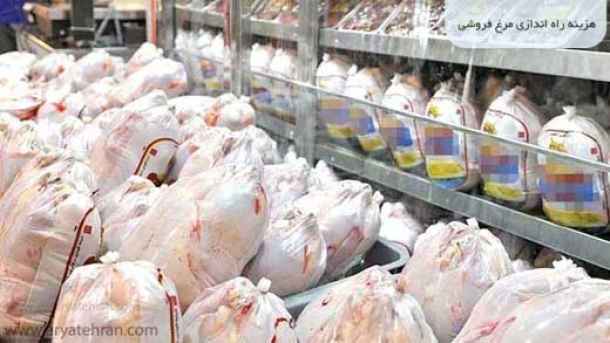 قیمت مرغ افزایش یافت