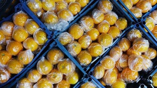 قیمت عمده فروشی انواع میوه اعلام شد