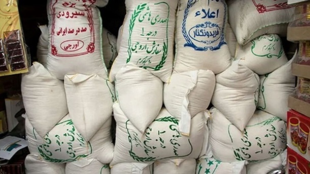 تعيين قيمت منصفانه برای برنج ايرانی ضروری است