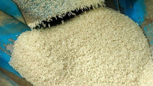 کاهش شدید قیمت برنج تا 2 هفته آینده