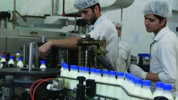 لبنیات ارزان می شود