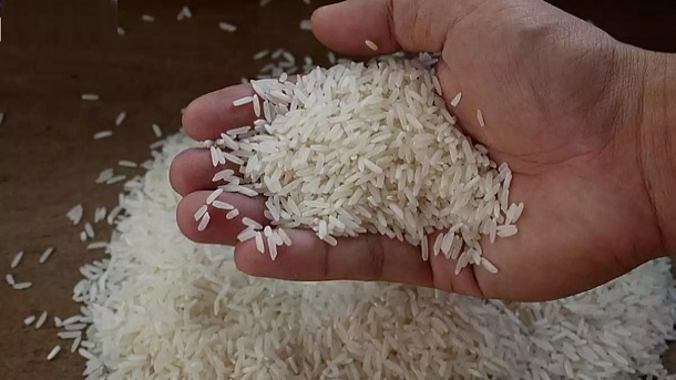 قیمت روز برنج ایرانی اعلام شد 1404/05/13