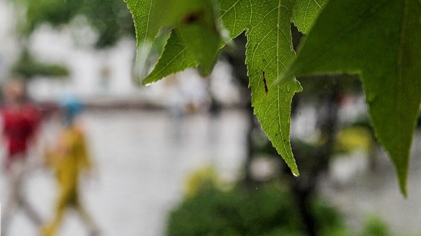 کاهش محسوس دما در نوار شمالی ایران