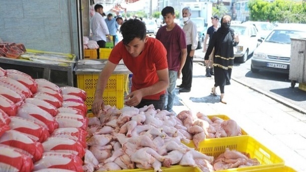 افزایش شدید قیمت گوشت مرغ