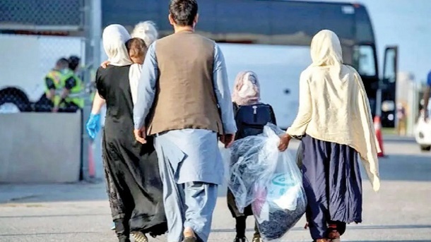 حادثه مرگبار برای مهاجران افغان