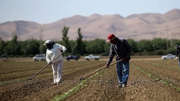 پاکستان متحد جدید کشاورزی ایران
