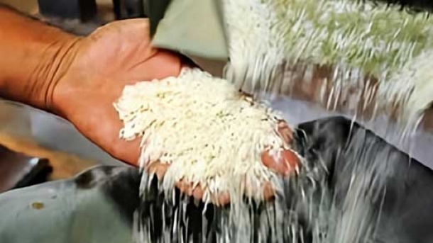 150 هزار تن برنج تنظیم بازاری وارد کشور شد