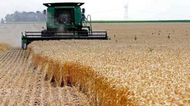 گندم مورد نیاز کشور تامین شد
