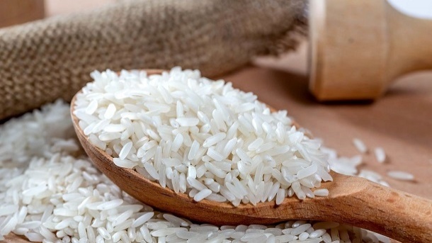 قیمت روز برنج ایرانی در بازار 1404/06/13