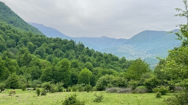 جريمه‌های ميليونی؛ درآمدهای ميلياردی!