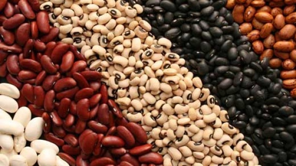 قیمت لوبیاچیتی چند؟!