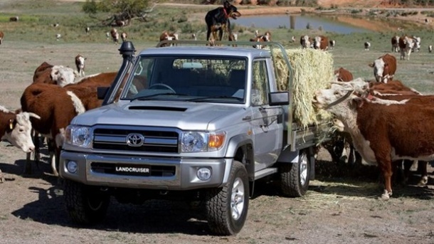 افزایش قیمت گوشت گوساله از لندکروز سبقت گرفت