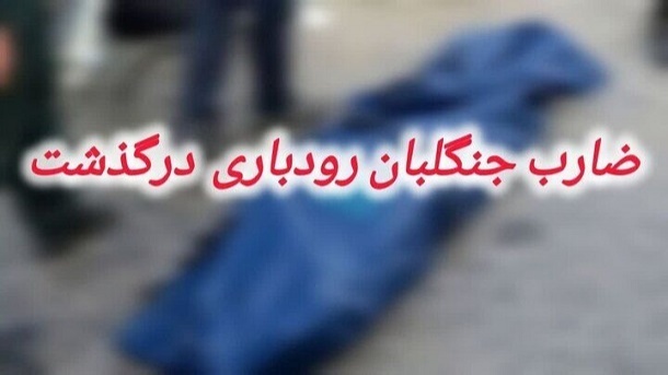 برق گرفتگی مرگبار ضارب جنگلبان رودباری