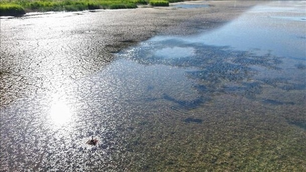 هشدار درباره تشنگی ایران