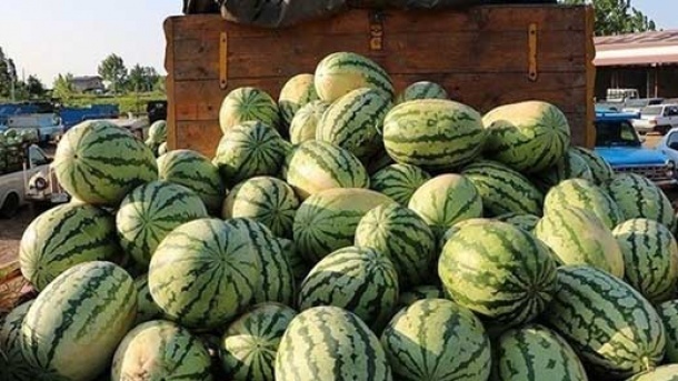 صادرات 45 محصول کشاورزی به عراق ممنوع شد