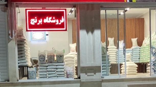 قیمت جدید انواع برنج ایرانی در بازار 1404/07/13