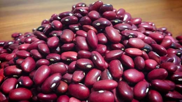 گرانی به لوبیاقرمز رسید