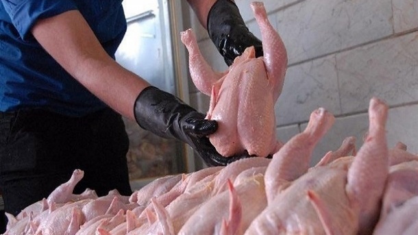 قیمت مصوب گوشت مرغ 135 هزار تومان تعیین شد
