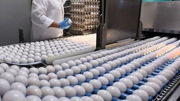 پیشنهاد جدید برای شفافیت در بازار تخم‌مرغ