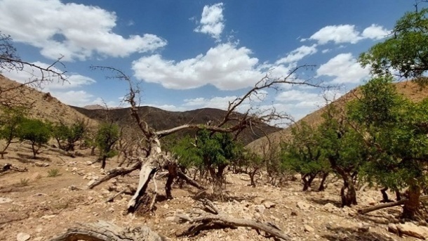 خشکسالی در فصل پاییز