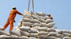 لغو ممنوعیت ترخیص برنج ابلاغ شد