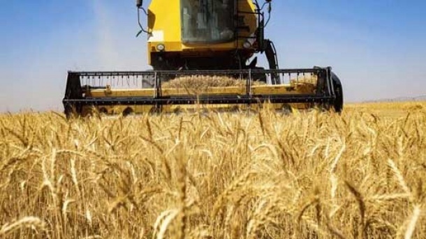 جزئیات بیمه گندم کاران اعلام شد