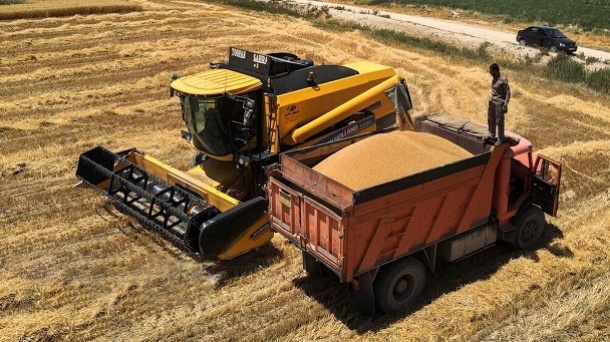 نرخ خرید تضمینی گندم اعلام شد