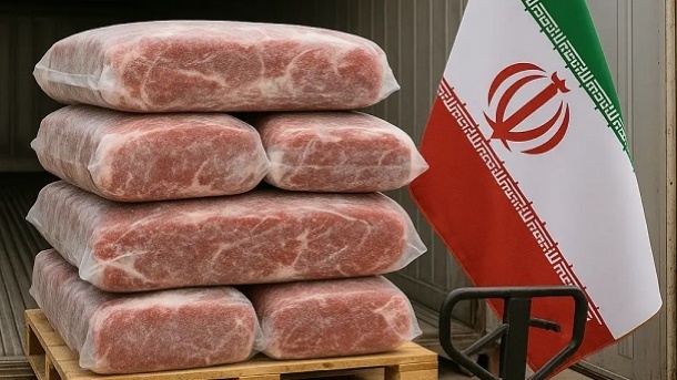 قیمت جدید گوشت منجمد وارداتی + نحوه توزیع