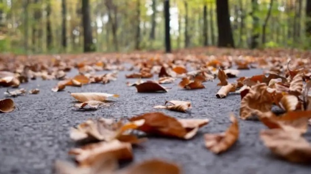 پاییز از تابستان هم خشکتر شد