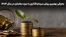 متقاضیان دریافت سود روزشمار 36 درصد بخوانند