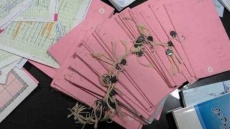 تبدیل سند دفترچه ای به تک برگ چقدر هزینه دارد؟