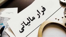 ۷۳۰ میلیون تومان پاداش سوت زن‌ها پرداخت شد