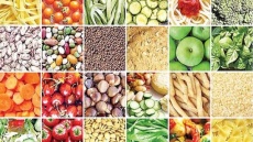 قیمت جهانی مواد غذایی کاهش یافت