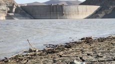 نباید زود «دیر» شود